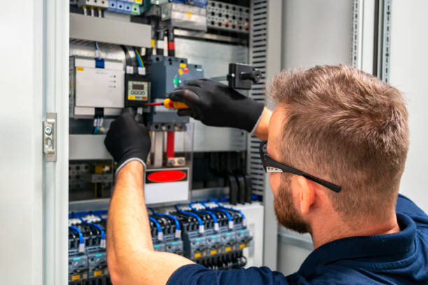 Best Electric Panel Repair  in Shelton, NE